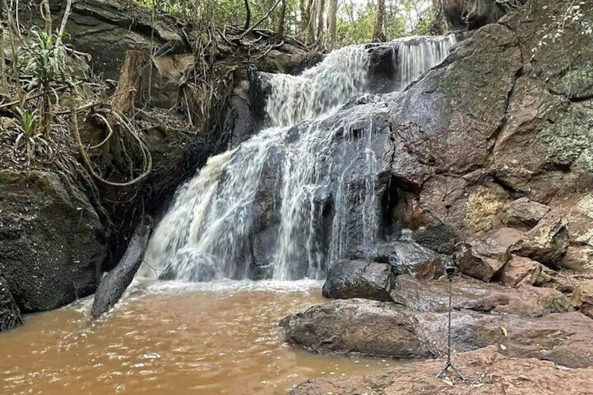 Karura Forest Hiking and Bike Tour