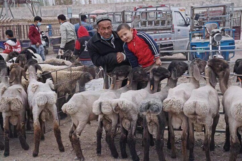 kashgar livestock market 