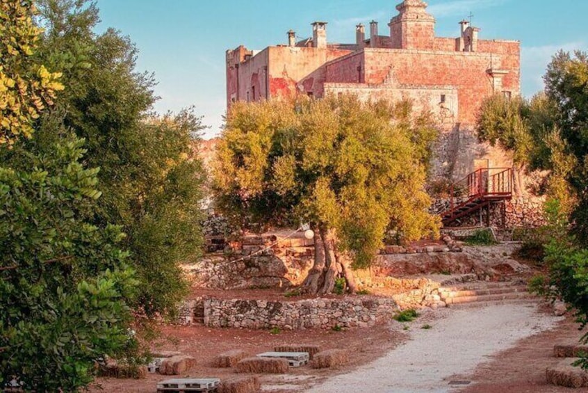 Masseria Rural Park Tour with Tasting of typical products