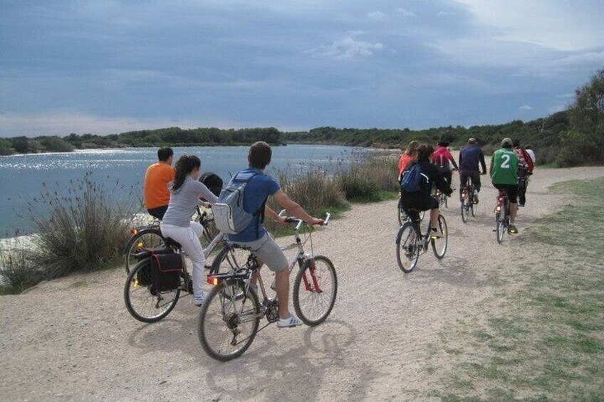 Discover L'Albufera Bike Tour