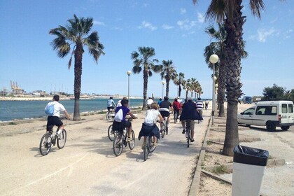 Valencia: Road to La Albufera Bike Tour