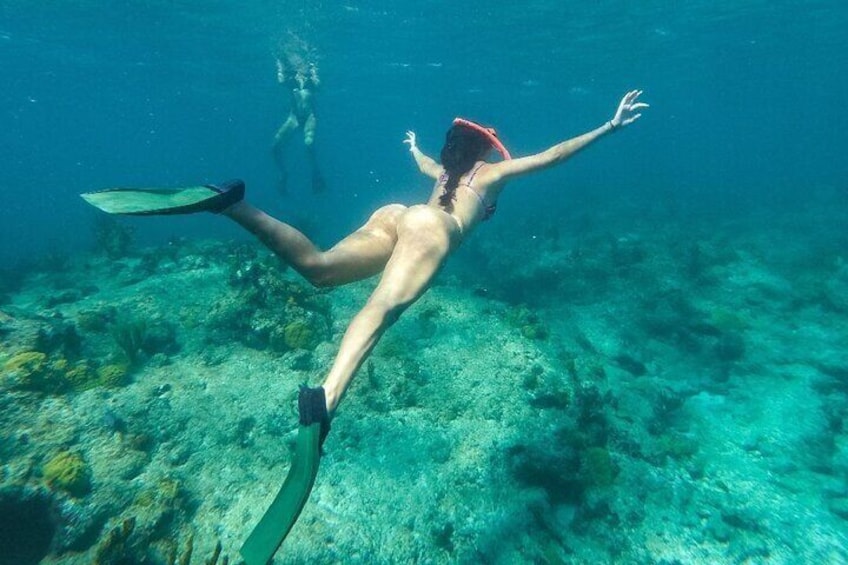 Half Day Snorkel from Providenciales with Visit to Half Moon Bay