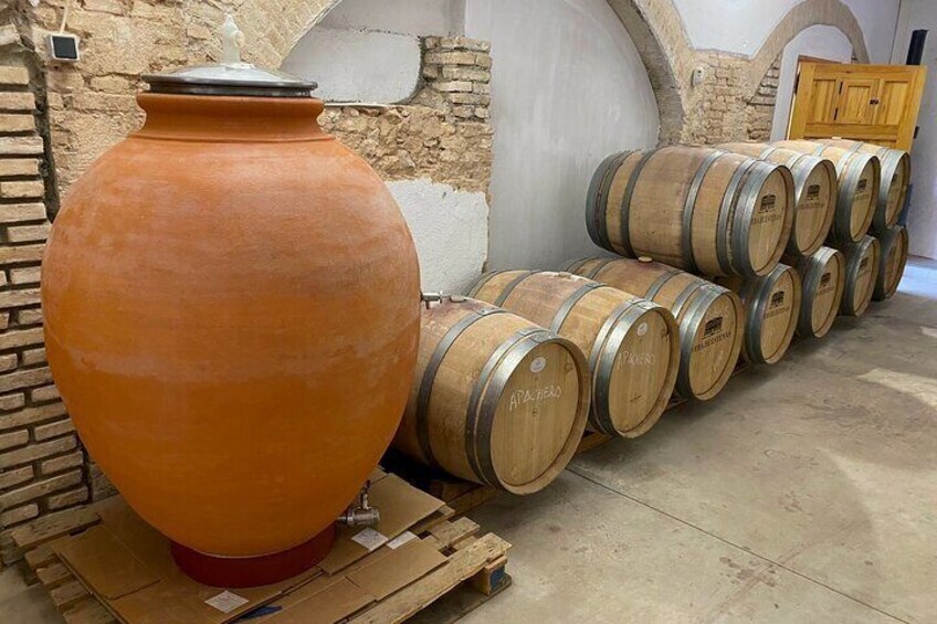 Requena Half-Day Private Vineyards & Premium Wine Tastings Tour