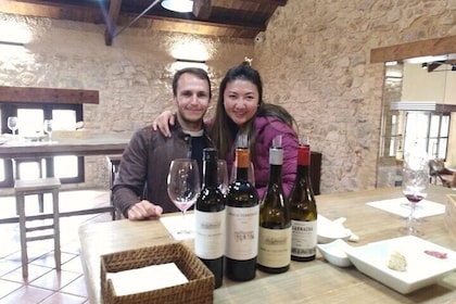 Requena Half-Day Private Vineyards & Premium Wine Tastings Tour