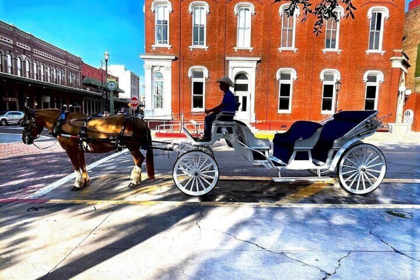 Public Historical Carriage Tour in Galveston 