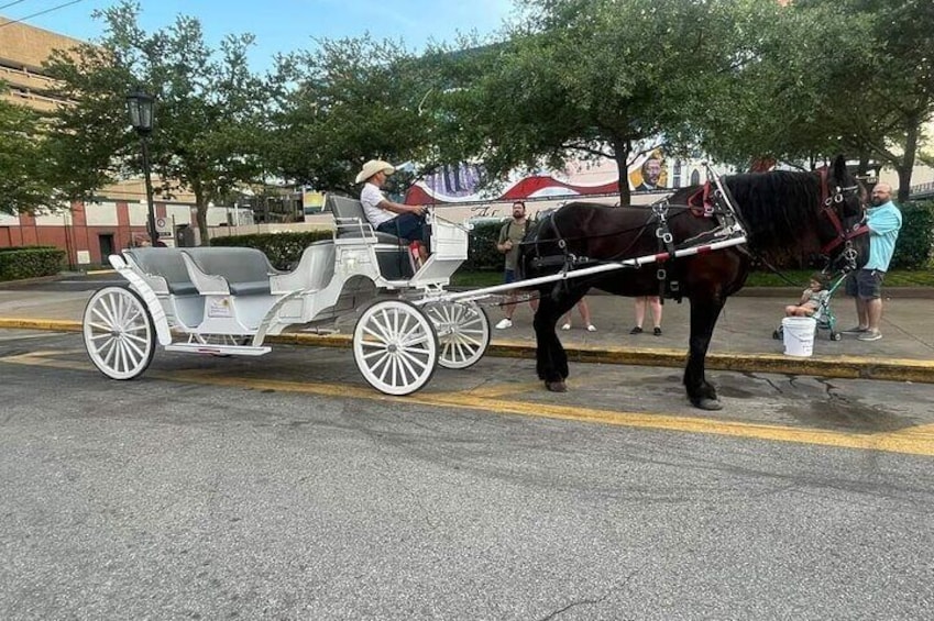 Public Historical Carriage Tour in Galveston 