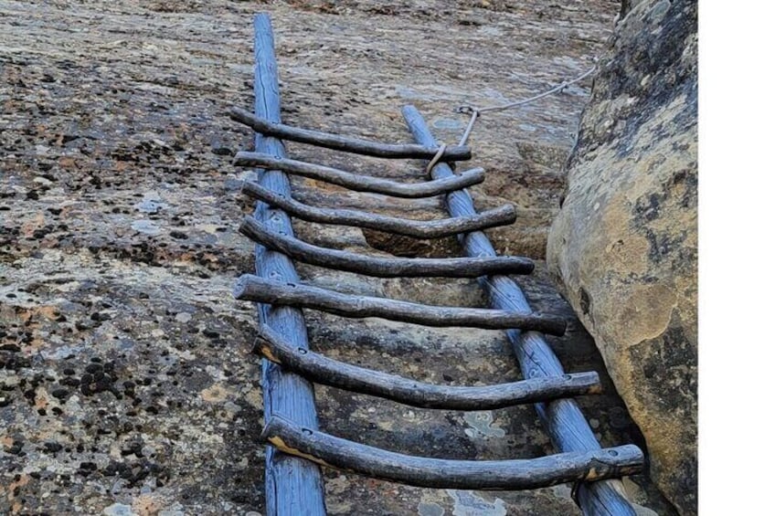 10 Rung Ladder 