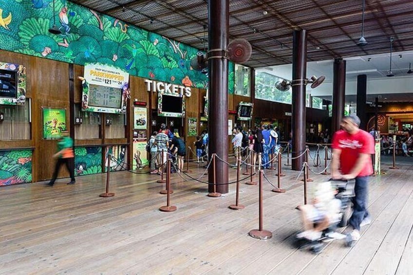 Singapore Zoo with Tram Ride experience