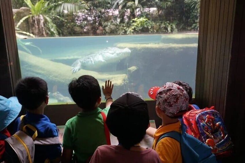 Singapore Zoo with Tram Ride experience