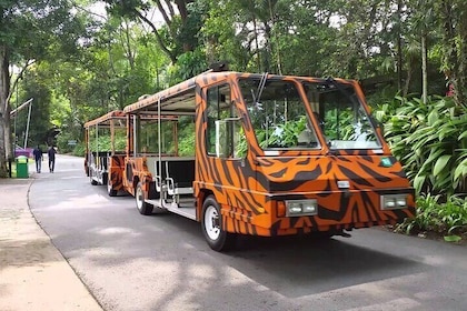 Singapore Zoo with Tram Ride Experience
