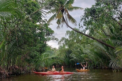 Kampot-day tours, Countryside, Pepper farm and Kayaking