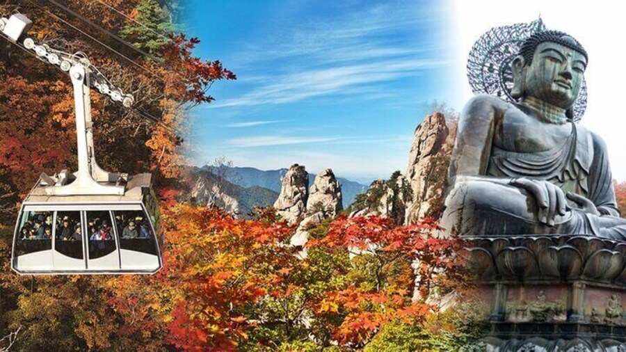 Autumn limited: Seoraksan x Maple Mountain Cable Car Tour