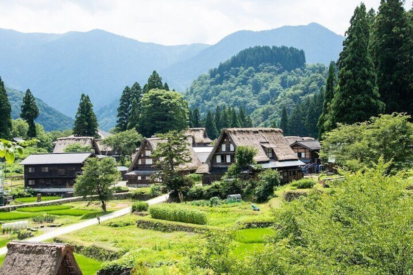 World Heritage villages - Shirakawago & Gokayama Ainokura Tour