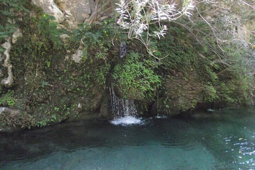 5-Hour Shared River Trekking in Kourtaliotiko Gorge