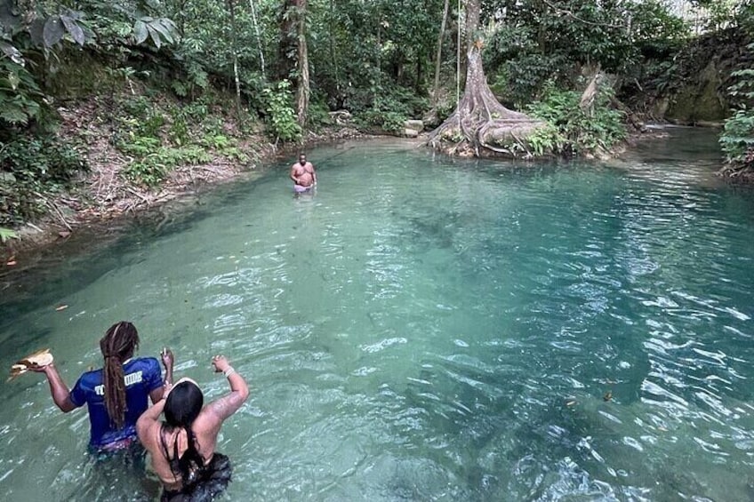 Benta River & Falls Private Tour From Montego Bay/Negril