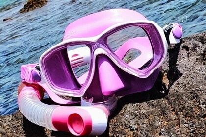 Snorkelling with a Professional Instructor in Tenerife