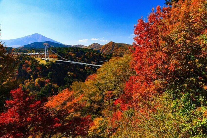 ‘KOKONOE “YUME” OTSURIHASH’ is opened in October 30th, 2006. It is 390 meters long, 173 meters high, 1.5 meters broad and it is the highest suspension bridge which is only for walkway in Japan.