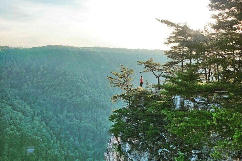 Half Day Hike in New River Gorge National Park & Preserve