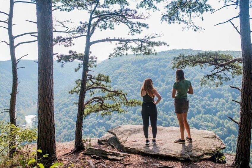 Half Day Hike in New River Gorge National Park & Preserve