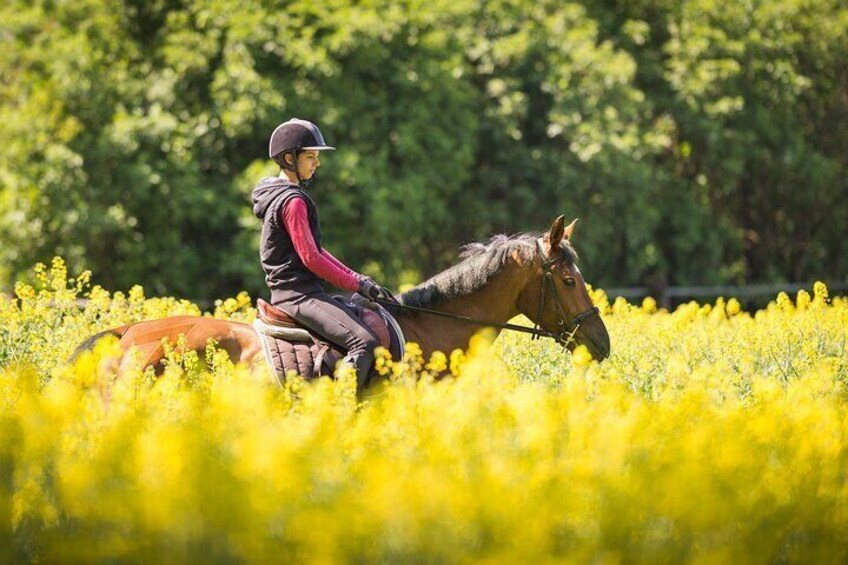 2 Hours Horse Riding Tour in Marmaris