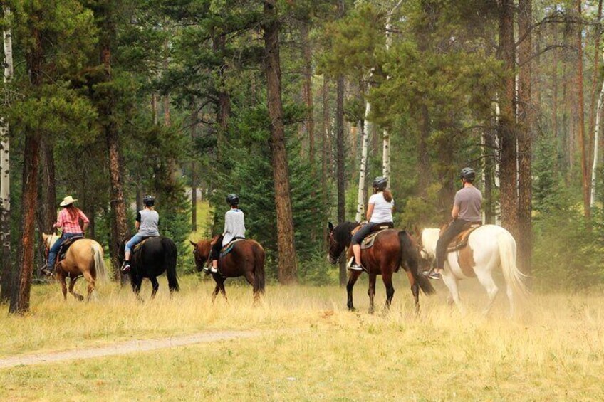 2 Hours Horse Riding Tour in Marmaris