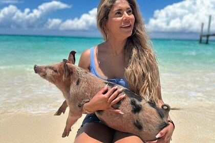 Nassau, Rose Island Private Swimming Pigs, Island Hopping Tour