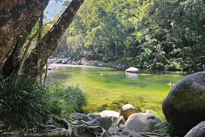 Mossman Gorge Daintree Rainforest Daintree River Crocodile Cruise