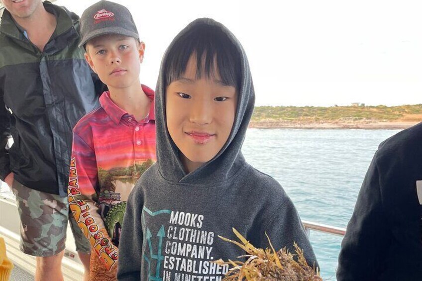 Kalbarri Rock Lobster Pot Pull Tour