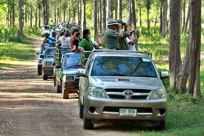 Aventura de safari de vida silvestre en el parque nacional Kui Buri