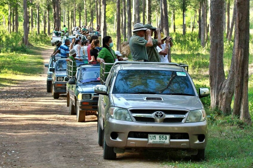 Kui Buri national park Wildlife Safari adventure