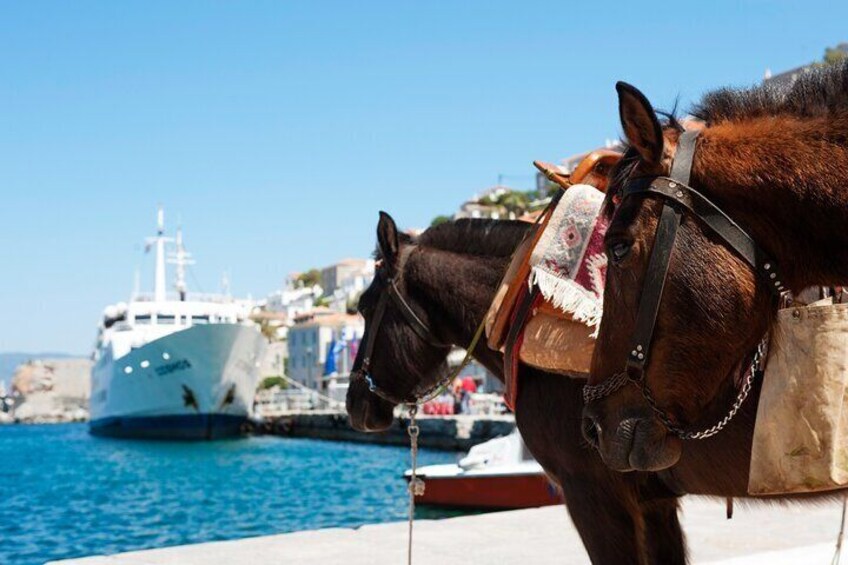 Athens Best Day Trip Cruise to the Islands Hydra Poros Aegina