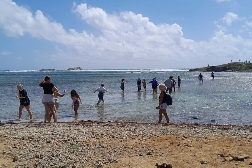 Pleasant low tide day to walk over to the isle across
