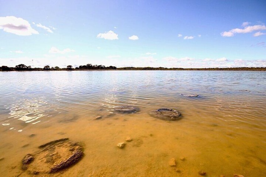 Pinnacles Lobster Lavender Small Group Day Tour from Perth