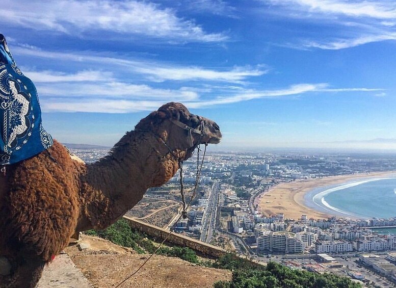 Picture 9 for Activity From Marrakech to Agadir : Private Day Trip With Cable car