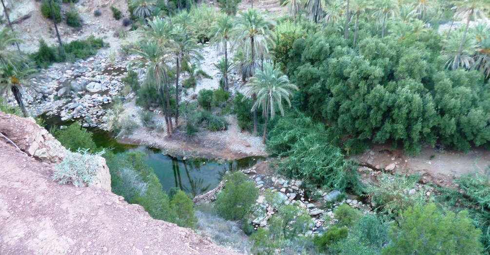 Picture 8 for Activity From Marrakech to Agadir : Private Day Trip With Cable car