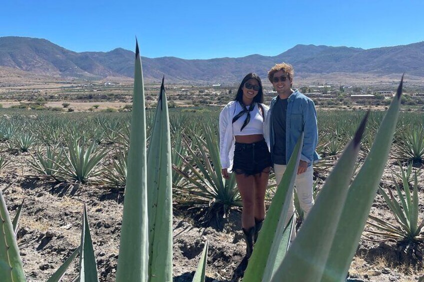 Full Day Mezcal Experience Tour