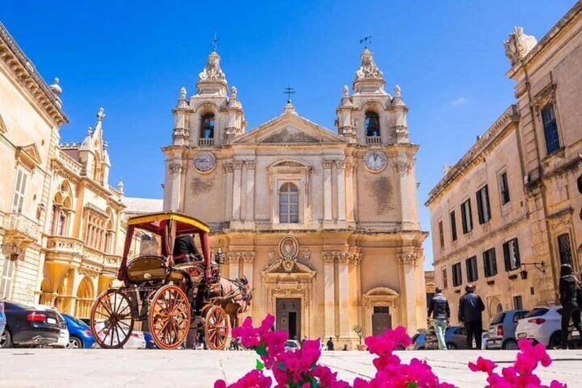 Private Tour in Malta Prehistoric Temples & Mdina