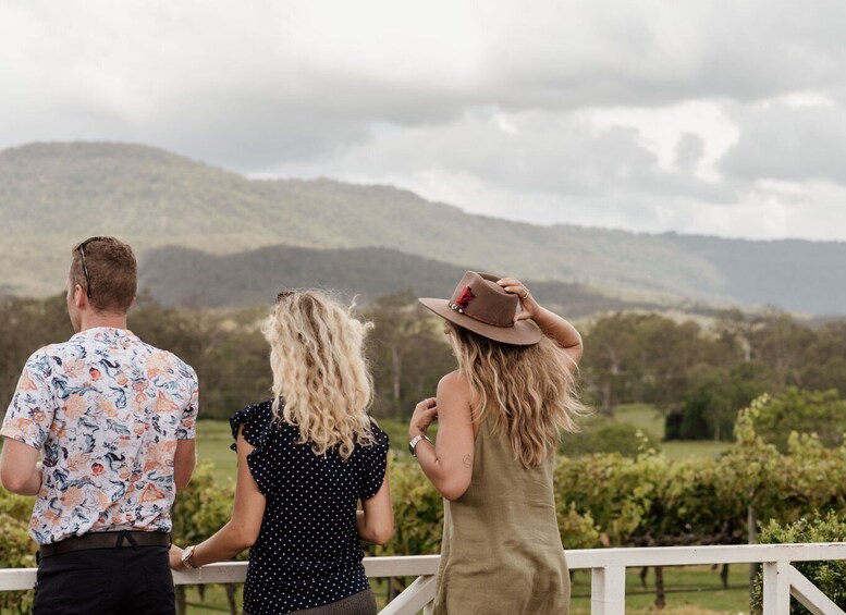 Picture 2 for Activity Gold Coast: Daytime Glow Worm Caves and Hop-on Hop-off Tour