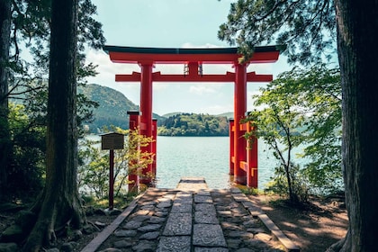 Tokyo: Hakone, Owakudani & Gotemba Premium Outlet 1-Day Tour