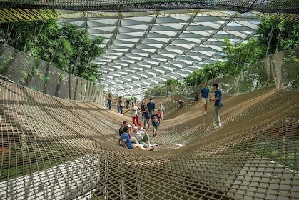 Jewel Changi Airport: Canopy Park Admission Ticket