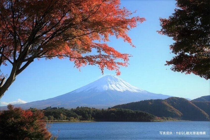 Mt.Fuji, Oishi Park & Arakurayama Sengen Park Bus Tour From Tokyo