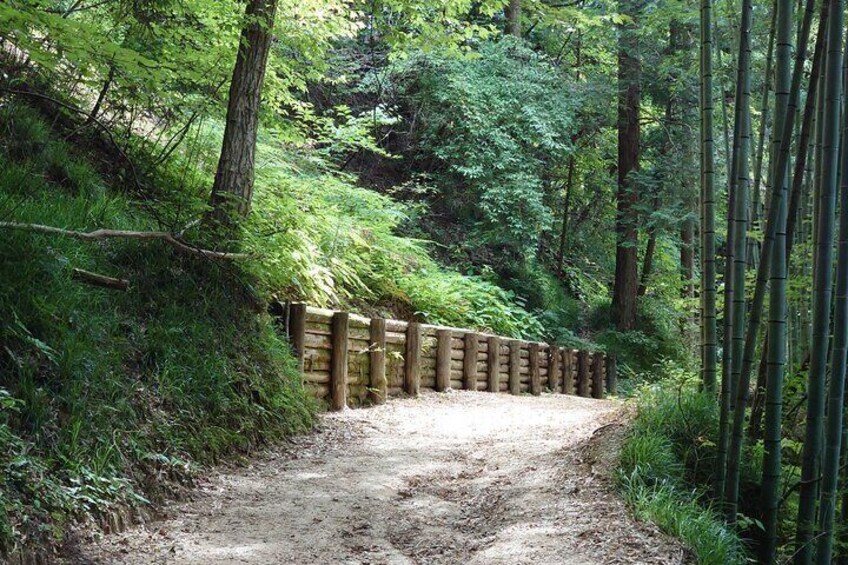 1-Day Tour from Matsumoto: Walk the Nakasendo Trail