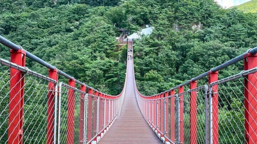 Seoul City and Seasonal Hot Attractions One Day Tour