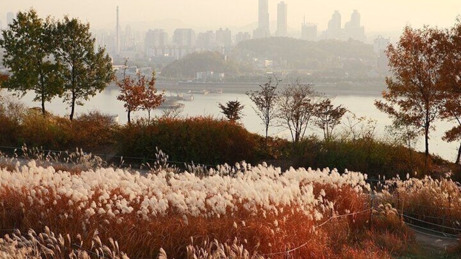 Seoul City Highlights Tour: Hanok Village, Scenic Routes