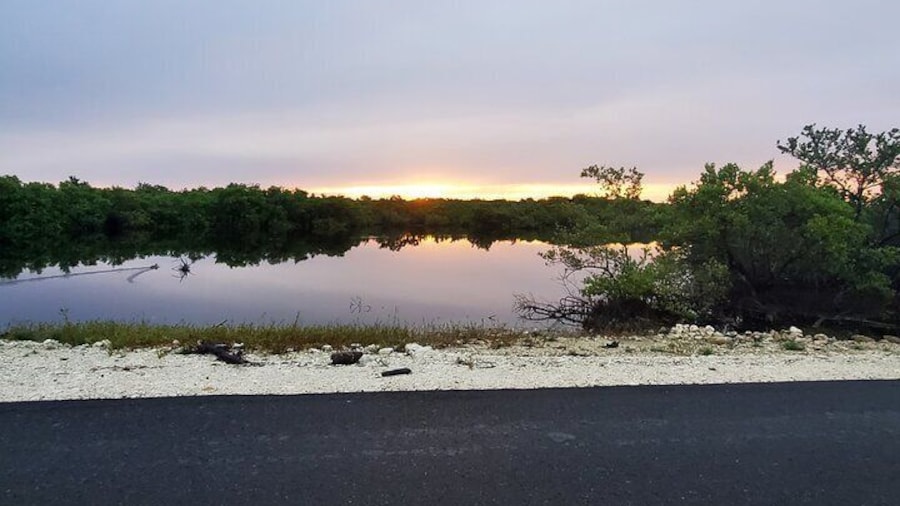 Unforgettable Land Tour on Long Island Bahamas