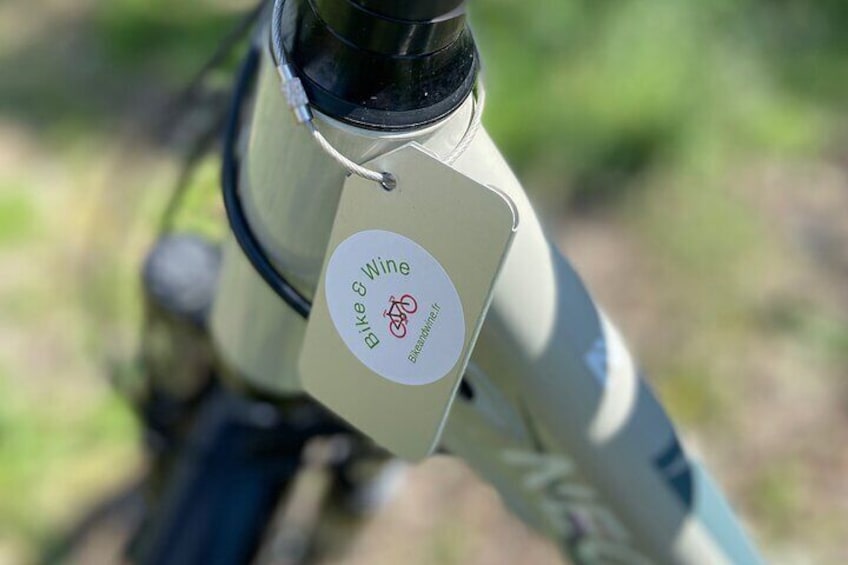 Small Group Guided E-bike Tour in Nice's Organic Vineyard