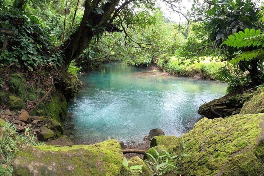 Discover Rio Celeste Labyrinth, Sloth Sanctuary & River Swim 