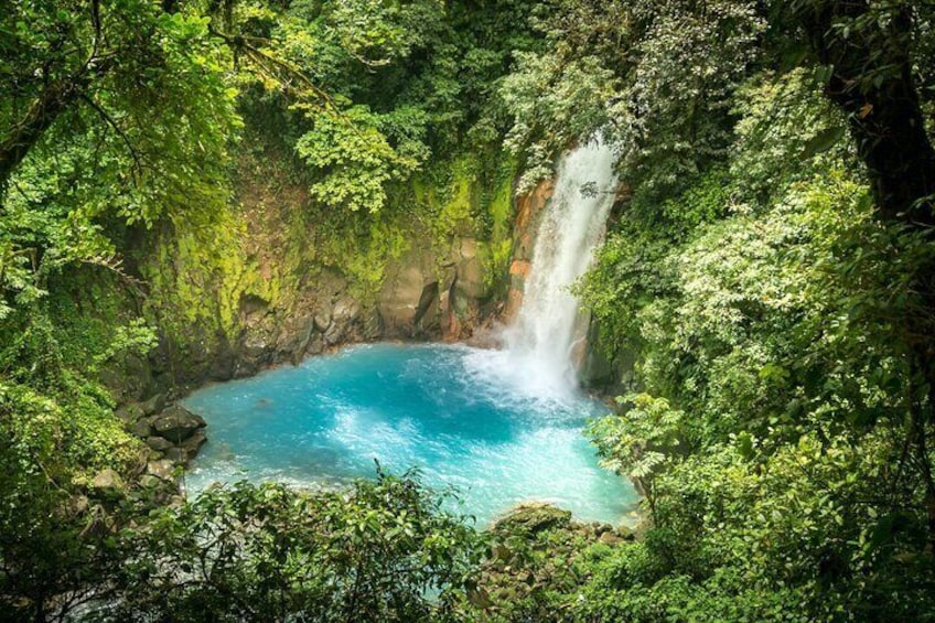 Discover Rio Celeste Labyrinth, Sloth Sanctuary & River Swim 