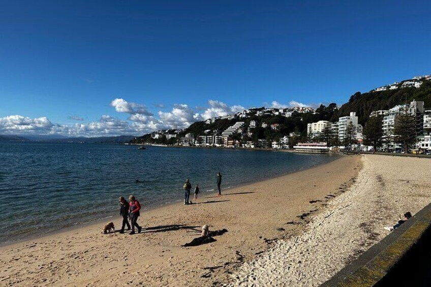 Private Wellington City Highlight Tour