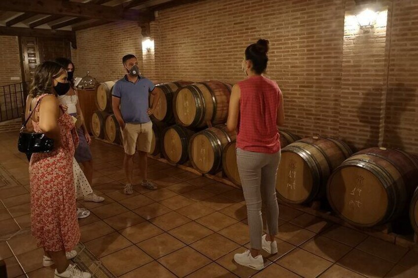 Guided Madrid Countryside Wine Tasting & Winery Tour